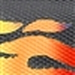 Flame EasyWay™ Camo Kit - Image 2