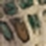 Prym1 MP Stencil Template - Image 2