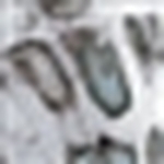 Prym1 Silver Mist Stencil Template - Image 2