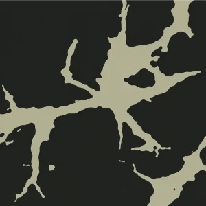 Nightstalk Camo Kit